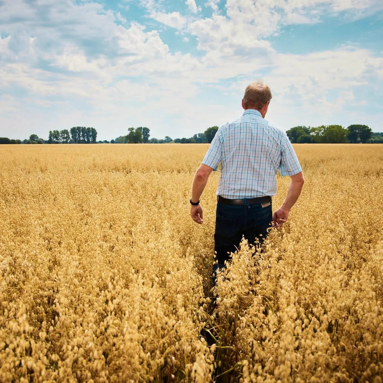 Kölln Knusper Honig-Nuss Hafer-Müsli Kölln Knusper Honig-Nuss Hafer-Müsli