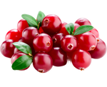 Cranberrys