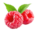 Himbeere
