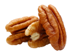 Pekannuss