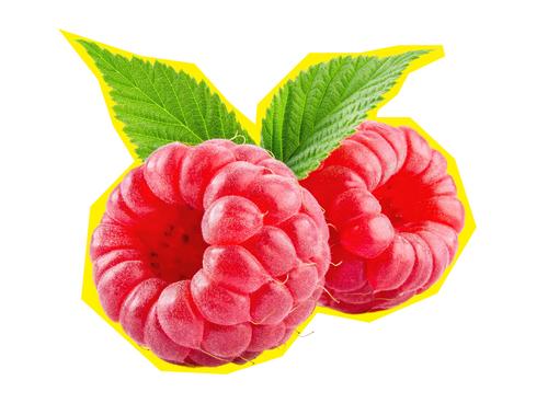 Himbeere
