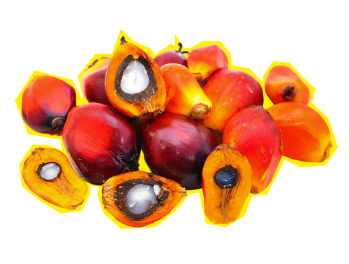 Palmöl