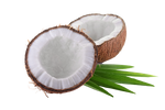 Kokosnuss